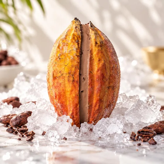 Cacao givré