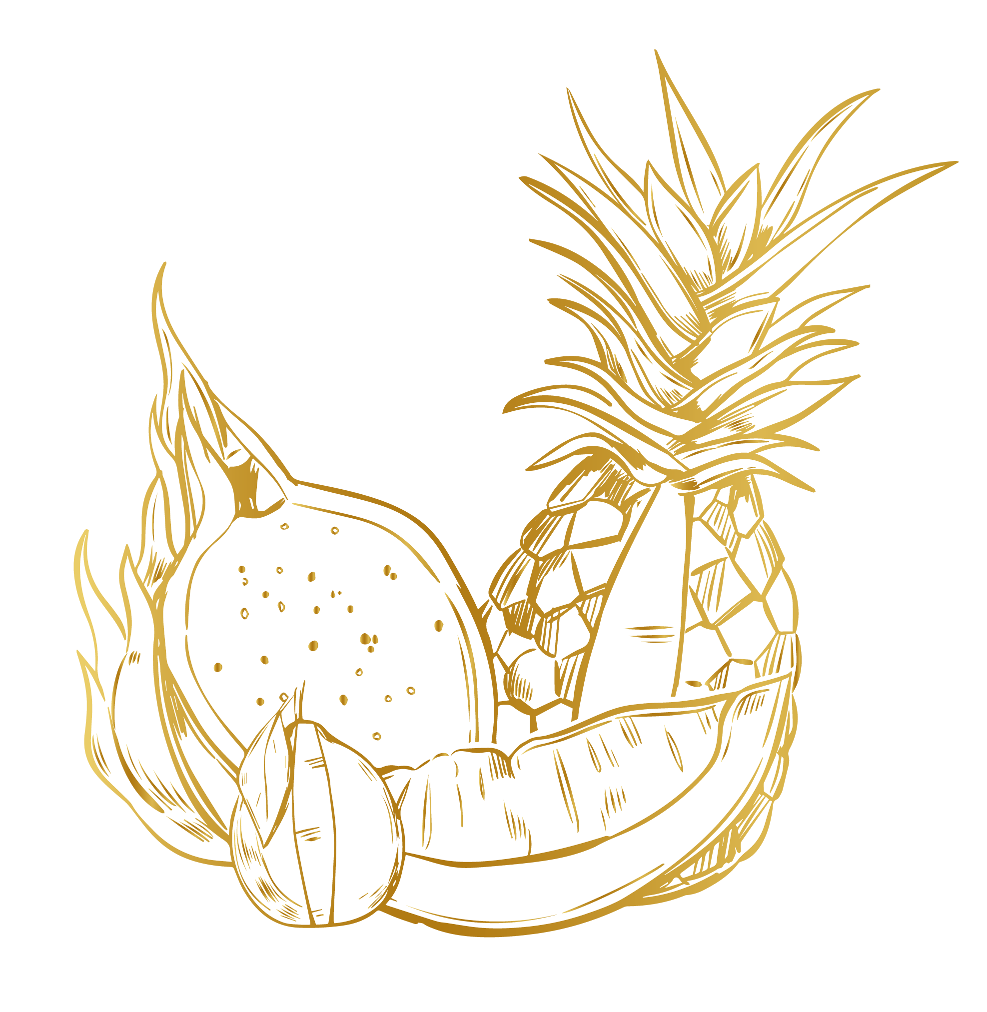 maison-sorbetti.fr logo
